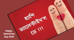 ১৪ ফেব্রুয়ারি নিয়ে কিছু কথা, ফেসবুক স্ট্যাটাস,ফানি পোস্ট ২০২৫