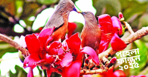 পহেলা ফাল্গুন ২০২৫: বসন্তের আগমনী বার্তা ও বাঙালির আনন্দ উৎসব